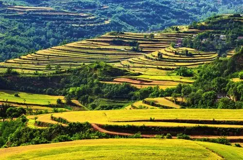 刘萍《美丽山川》