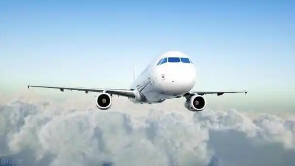 做梦也没想到大飞机市场不想要了?法国将对中国企业