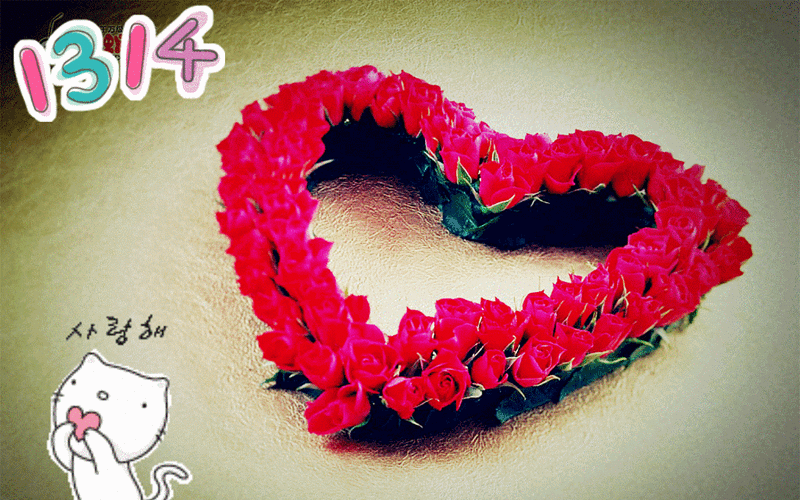 动态壁纸_动态图片大全_动态壁纸下载_壁纸族