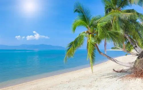 热带海滩,椰树,大海,天空,云,阳光 壁纸 - 1440x900