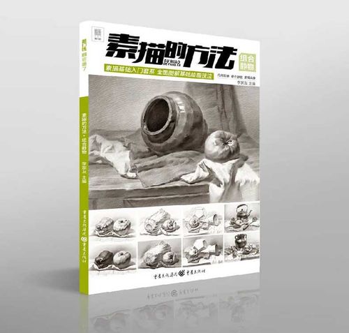 素描的方法组合静物素描零基础绘画入门教程结构步骤书素描基础入门套