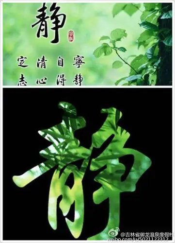 静:是一种智慧,人只要知足便会心静如水.