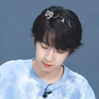 贺峻霖表情包贺峻霖是全世界上最棒的小朋友!但真是土到极致.