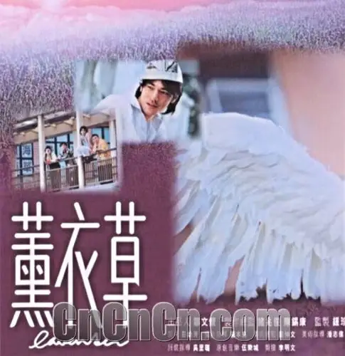 主要演员:金城武陈慧琳陈奕迅明星写真:金城武图片陈慧琳图片陈奕迅