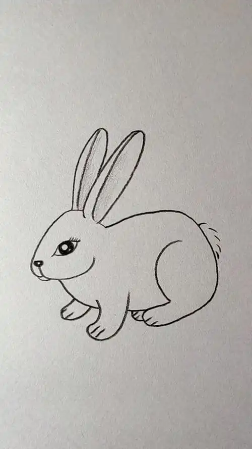 画兔子教程
