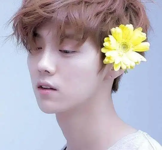 鹿晗家世底蕴深厚,身份神秘,谜团迷离