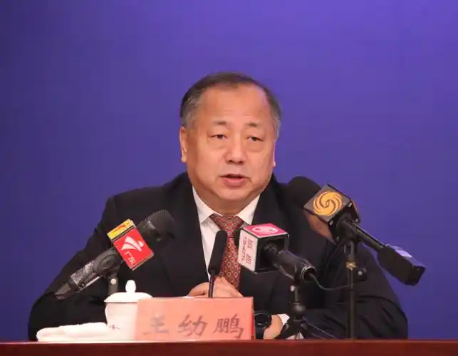 嘉宾深圳市规划和自然资源局局长王幼鹏