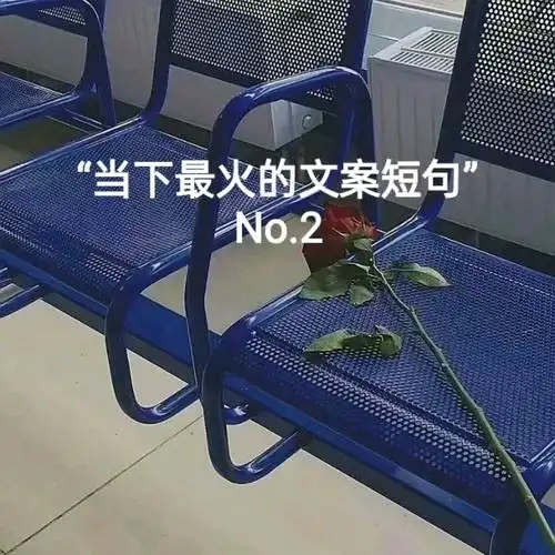 【崎川文案馆】"当下最火的文案短句" no.