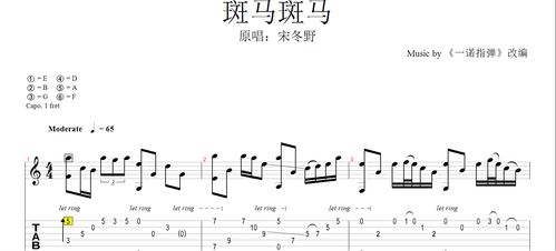一诺指弹《斑马斑马》吉他谱