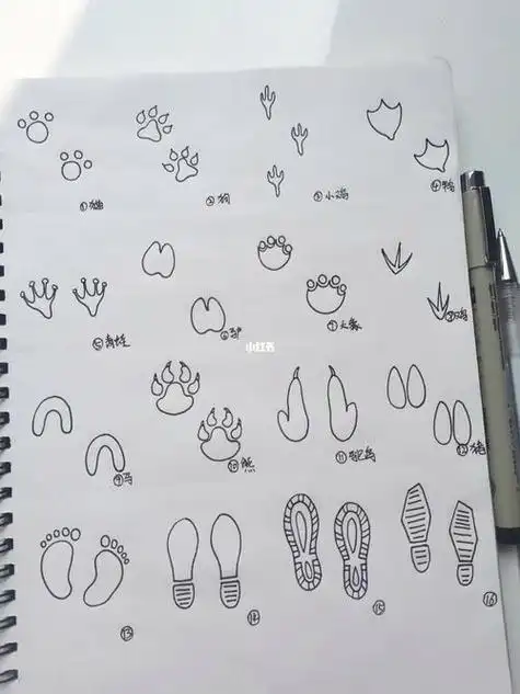 旅行的脚印简笔画 简笔画图片大全-普车都