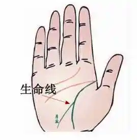 生命线分叉到月丘    暗示苦难与成功同在