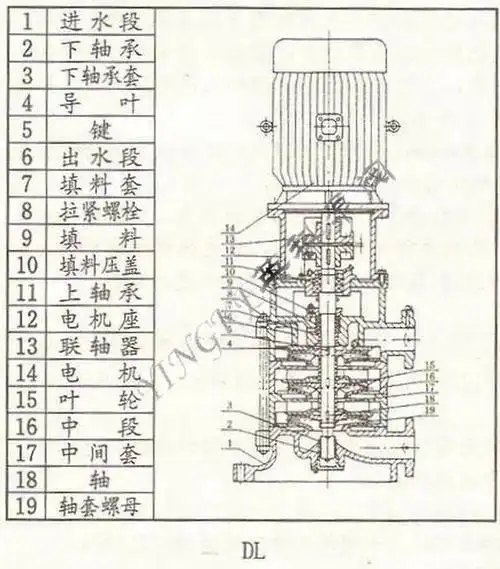 英科dl立式多级离心泵结构图