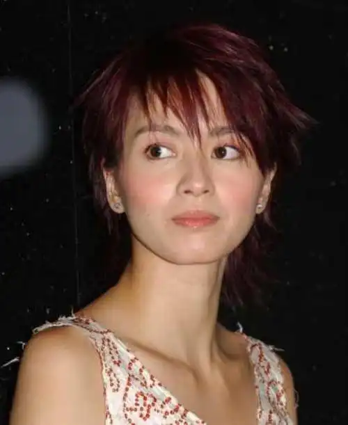 歌手梁咏琪香港知名歌手梁咏琪宣布约满暂别乐坛