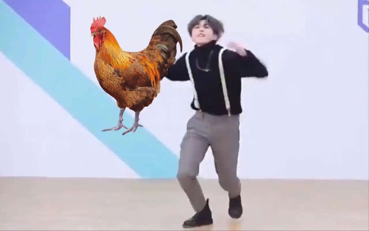 【鸡你太美】蔡徐坤与鸡共舞_哔哩哔哩_bilibili