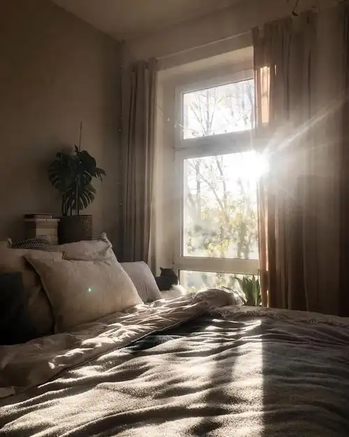 来感受一下这份暖暖的阳光