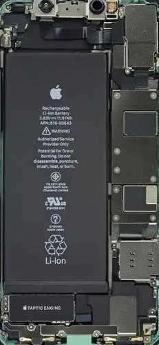 apple支援壁纸汇iphone11系列内部结构及x光透视图全尺寸壁纸