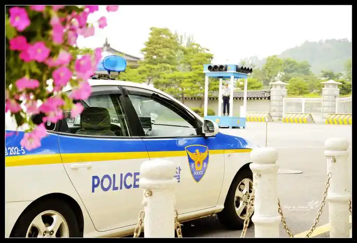 青瓦台前的韩国警车