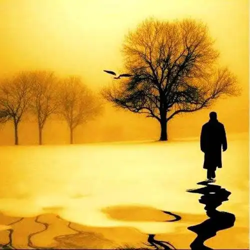 一个人走路(碑林路人)