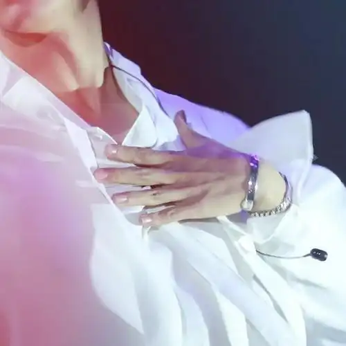 明星的锁骨可以有多欲肖战