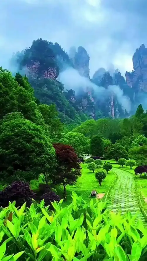 640_1138竖版 竖屏