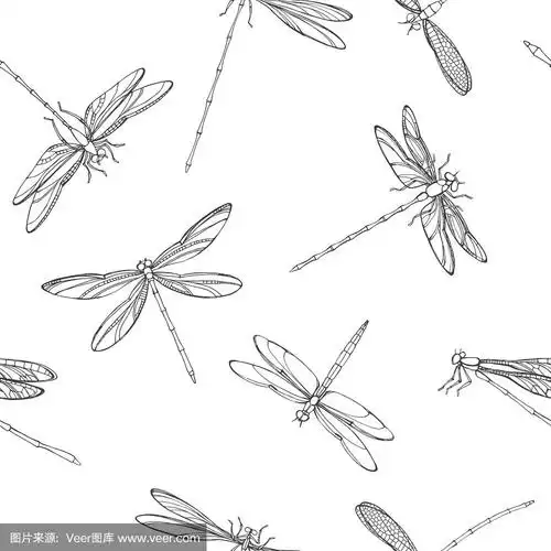 蜻蜓,绘画插图,四方连续纹样,矢量,黑白图片