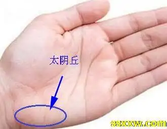 手相太阴丘又称月丘,代表想象力神秘事物旅行水