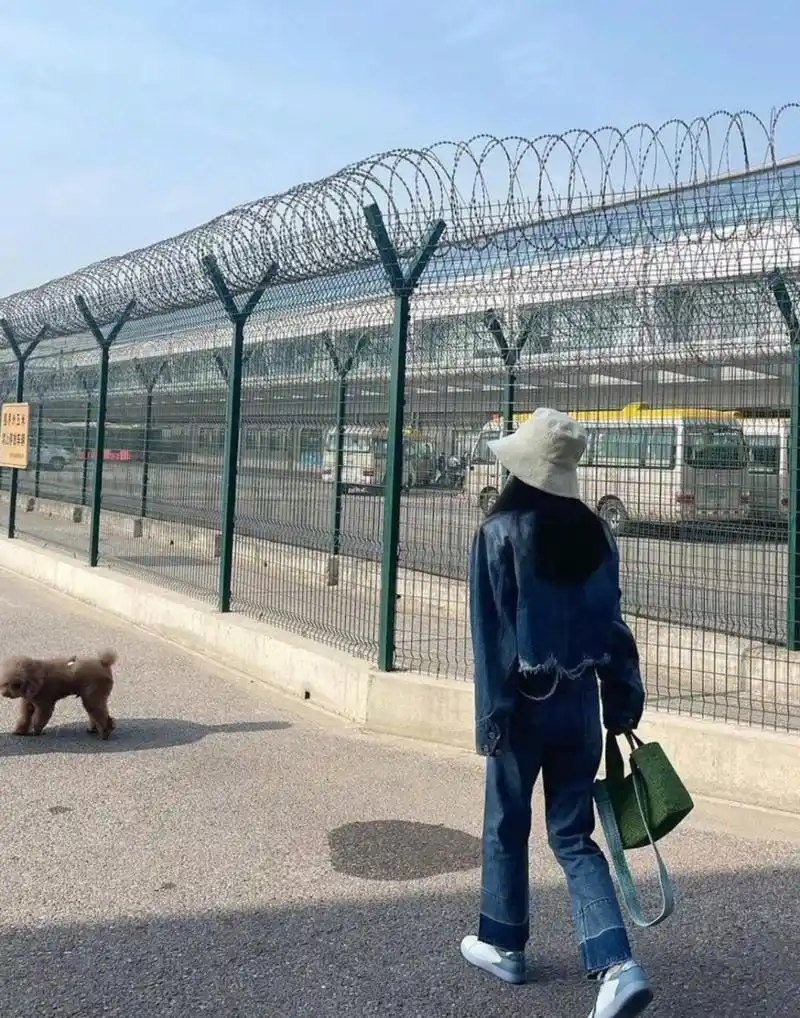 杨紫分享助理拍的生活照,画全包眼线,眼神很有气场了.