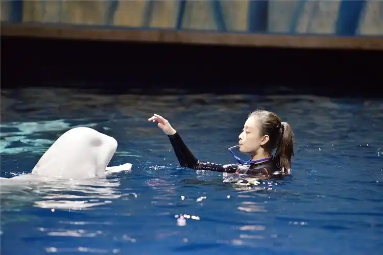 倪妮早期的水下视频视频