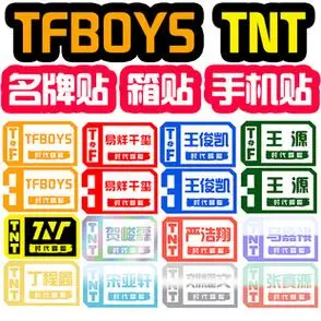 tfboys易烊千玺王俊凯王源tnt时代少年团宋亚轩名牌贴纸姓名贴