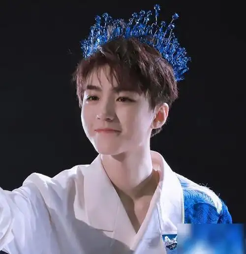 演唱会是属于王俊凯和粉丝之间的经历,王俊凯妈妈一直都在很好地维持