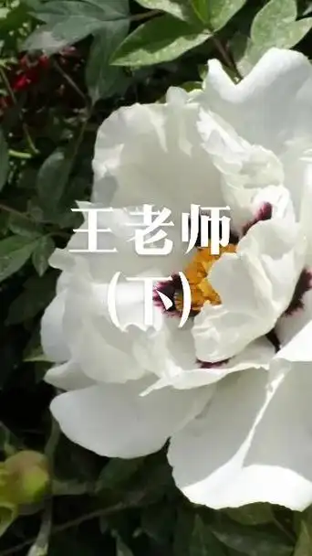 0030_王老师7815(下)曾经和好多老同学一起聊天,有不同学 - 抖音