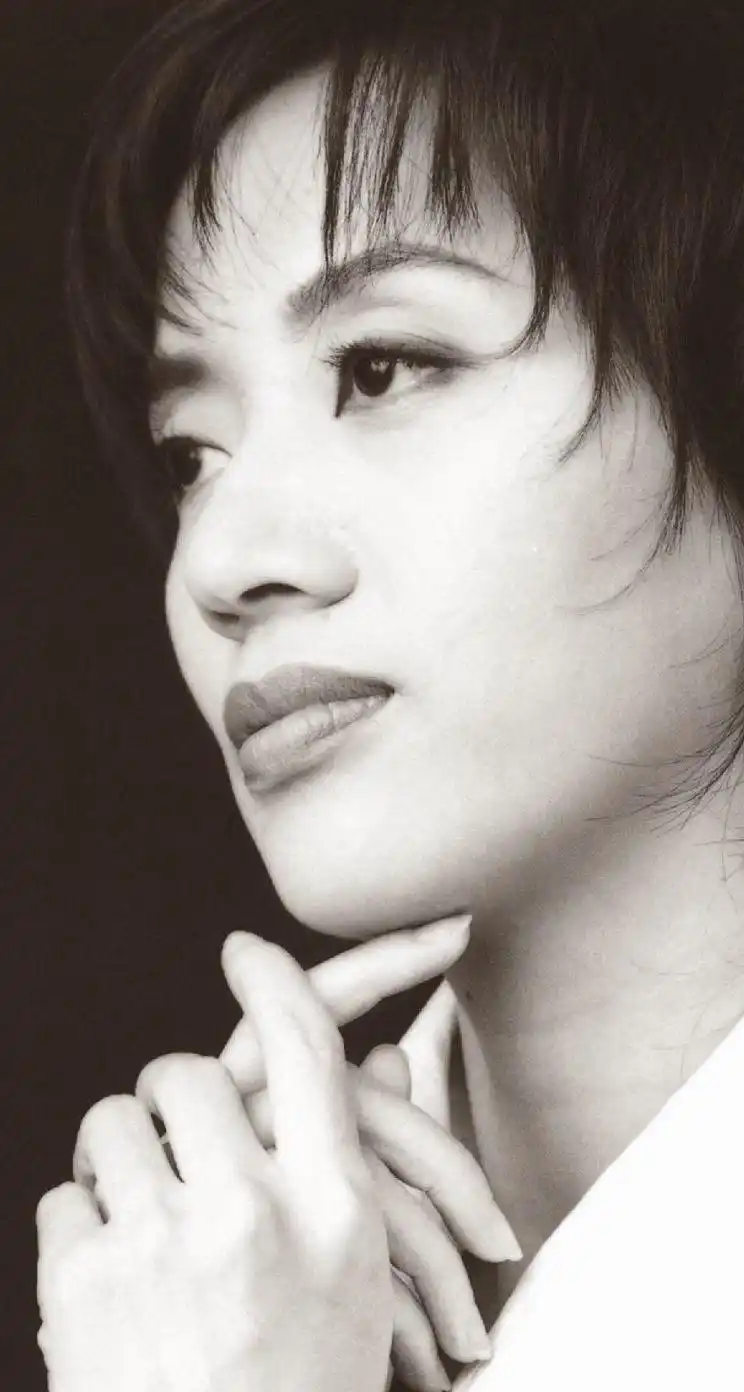 梅艳芳十周年纪念手机图片壁纸