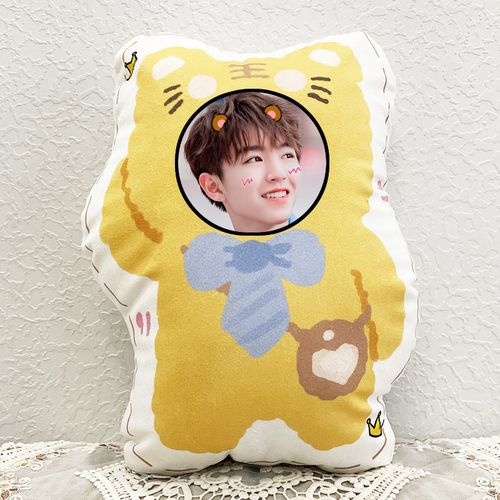 diy定制王俊凯人形抱枕靠垫卡通q版可爱玩偶娃娃情人节礼物可拆洗