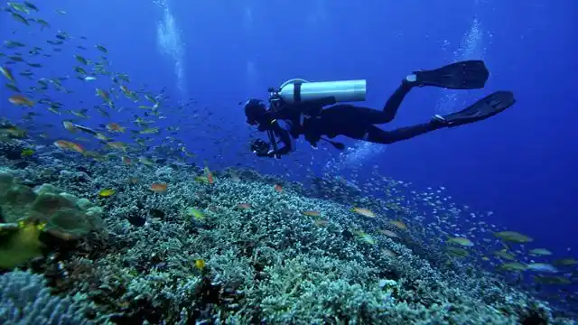 三亚去哪里潜水好,三亚哪里可以玩潜水,三亚潜水攻略