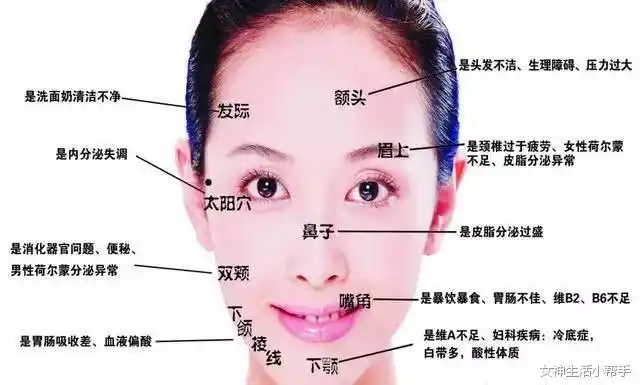 女神生活小帮手