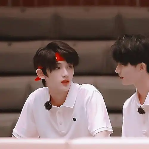 马嘉祺×丁程鑫祺鑫.马丁二传标明dt是奶珩阿