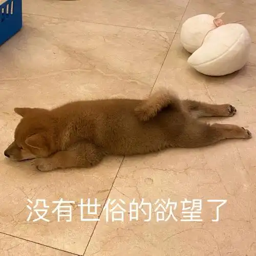 柴犬表情包沙雕表情萌宠日常