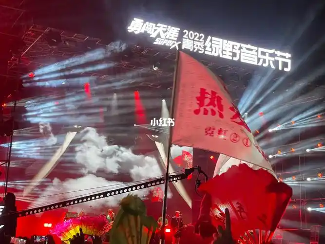 爱了爱了#绿野  #二手玫瑰  #南宁  #绿野十年  #绿野音乐节