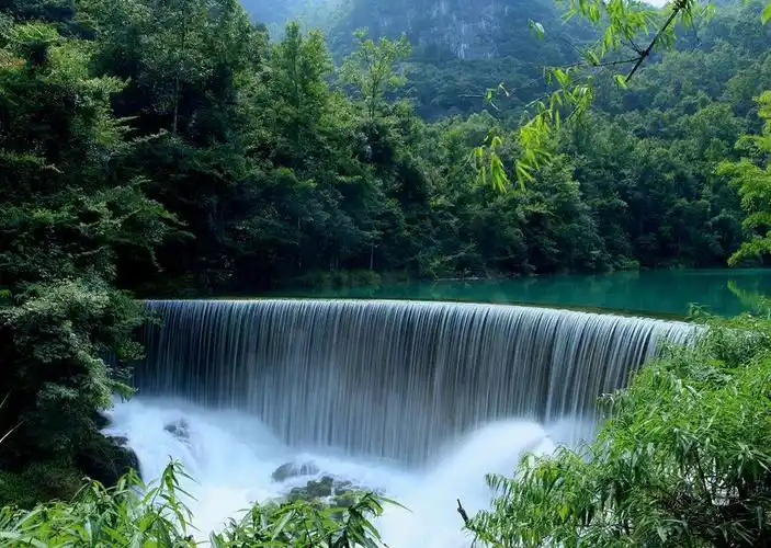 5集纪录片绿水青山尽开颜明日起将在cctv10播出