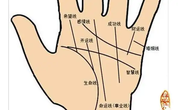 易经手相图解:原来断掌纹有这样的优点和缺点