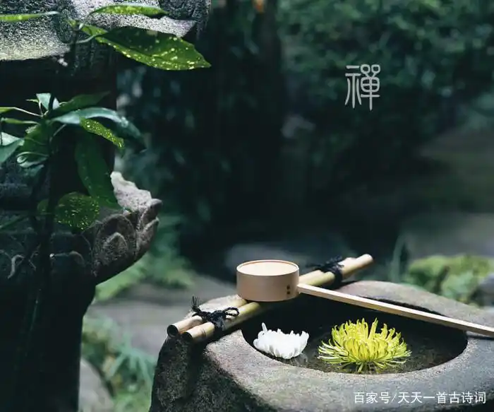 天气渐冷,4首冬天里的禅意哲理诗,伴你安然过冬