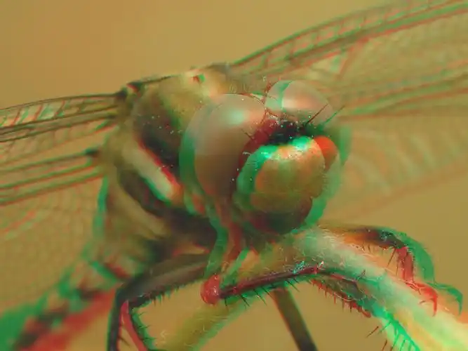 红蓝出屏3d图片请使用红蓝眼镜观看