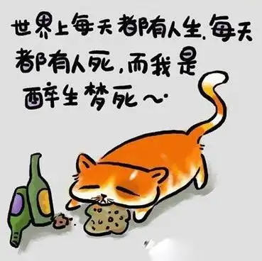 【转载】引用 搞笑但很有意义的简单人生哲理