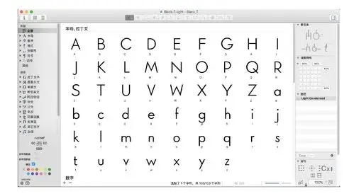 品牌微观品牌与西文字体设计