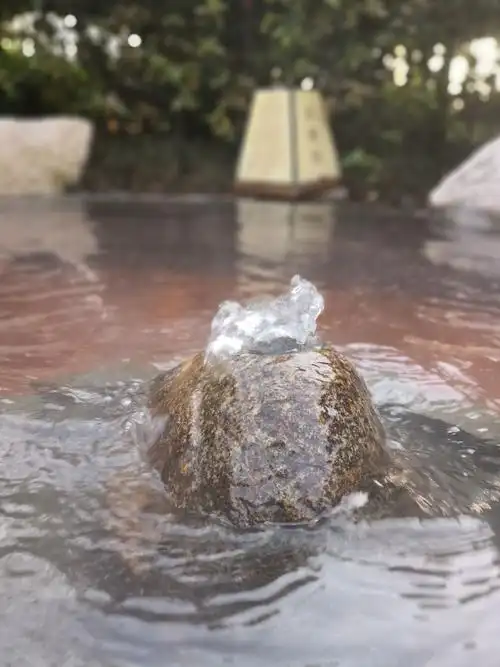 泉眼无声惜细流