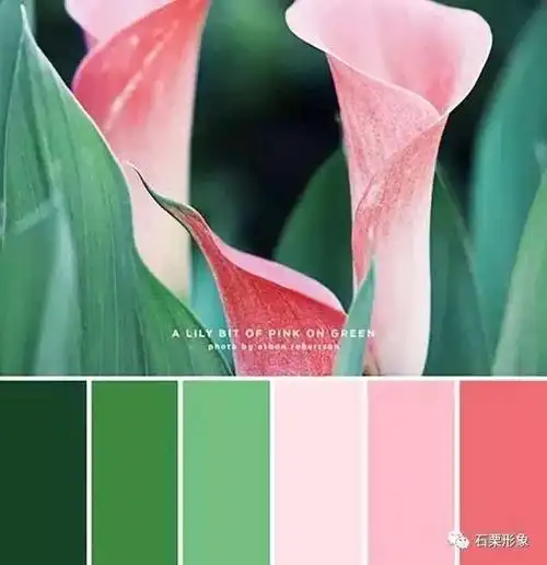 色彩风格|学会这些色彩搭配,你就是半个时尚行家