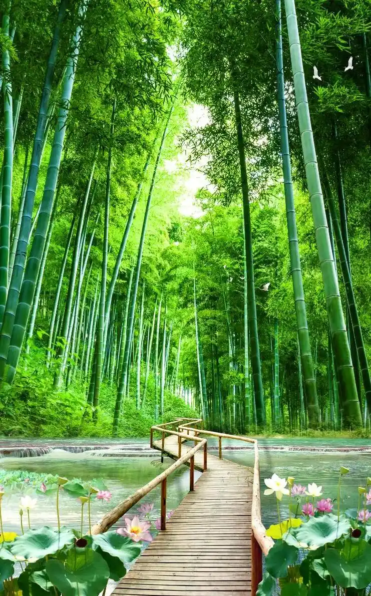3d立体风景,大自然,竹林玄关背景墙定制壁画#墙纸墙布壁画 - 抖音