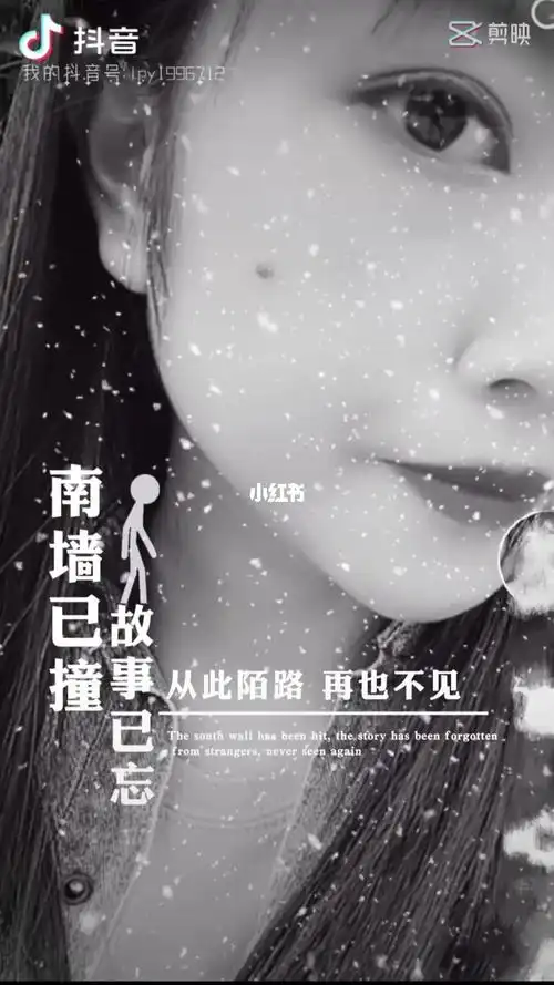 南墙已撞故事已忘从此陌路再也不见