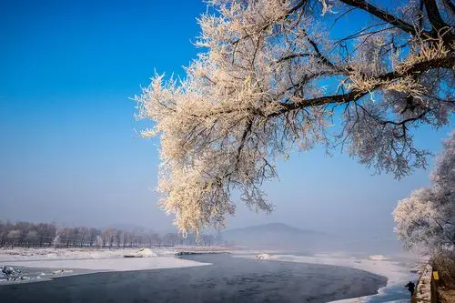【雾凇奇观摄影图片】吉林风光摄影_我骑木马行色天下_太平洋电脑网