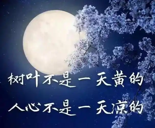 适合心情低落的朋友圈朋友圈发泄情绪的句子